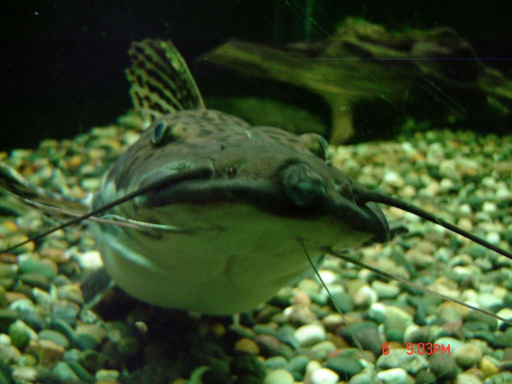 DSC04206.jpg