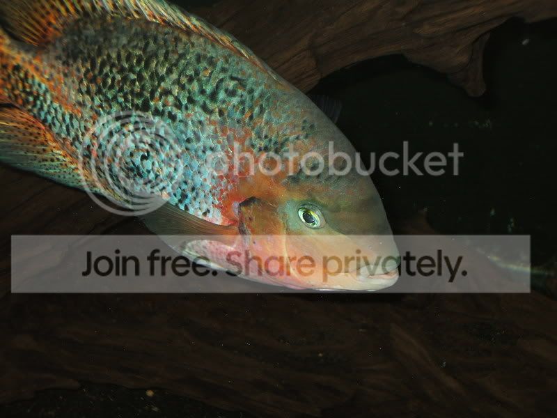 DSCF6545.jpg