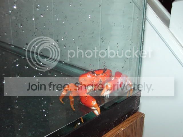 IMAG0520.jpg