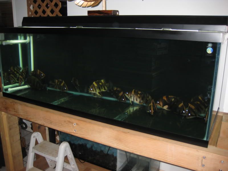 4-19-09006.jpg