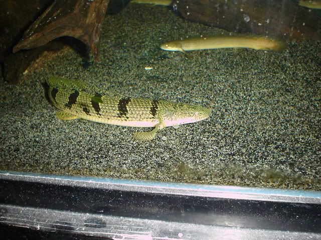 DSC08580.jpg