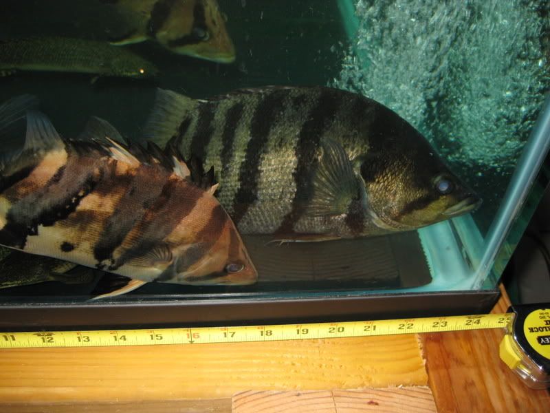 1-30-09019.jpg