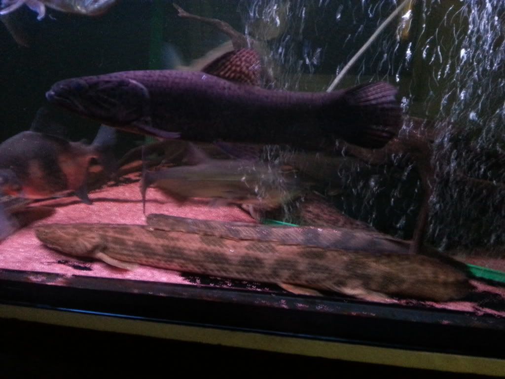 20120818_004718.jpg