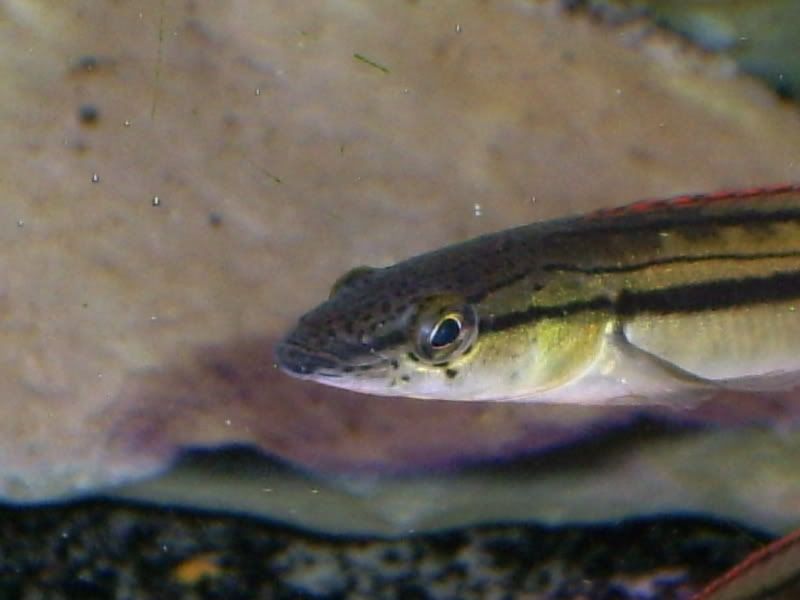 S5031405.jpg