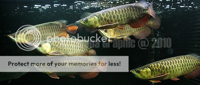 558ff0eb.jpg