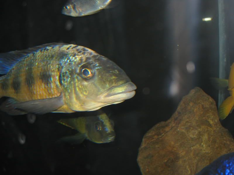 IMG_4687.jpg