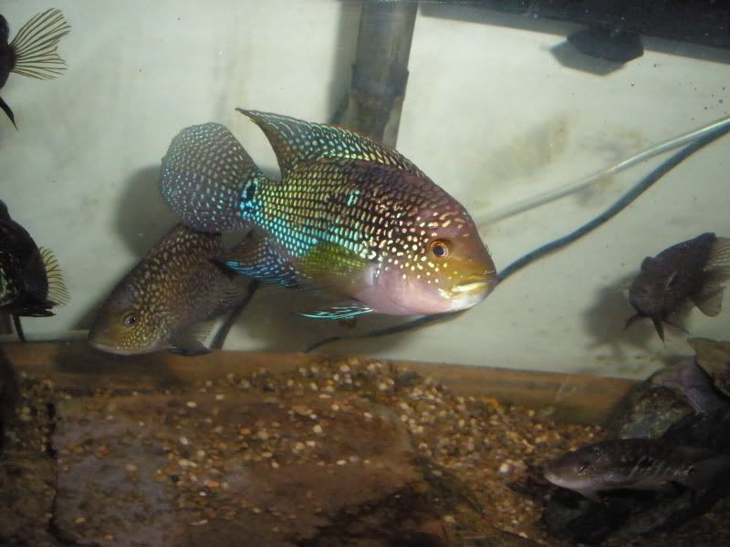 PB120346-1.jpg