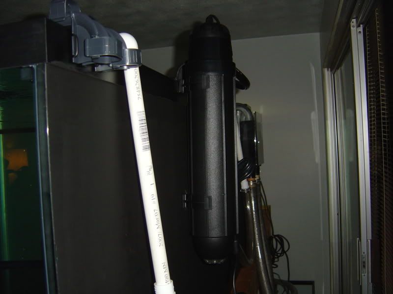 4-28-08014.jpg