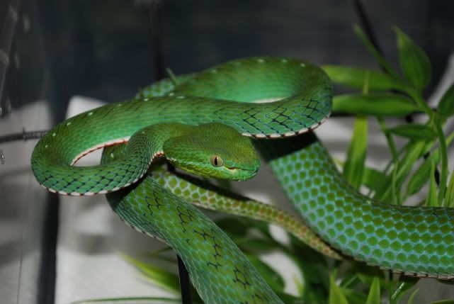 DSC_0357.jpg