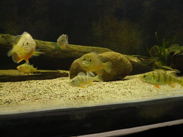 P1080301.jpg