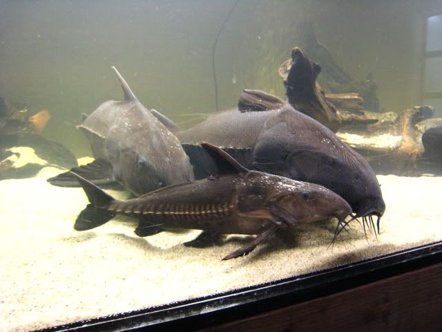 IMG_8575.jpg