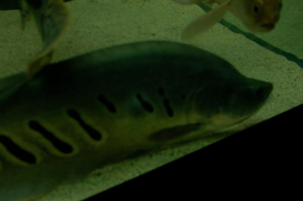 DSC_5359.jpg