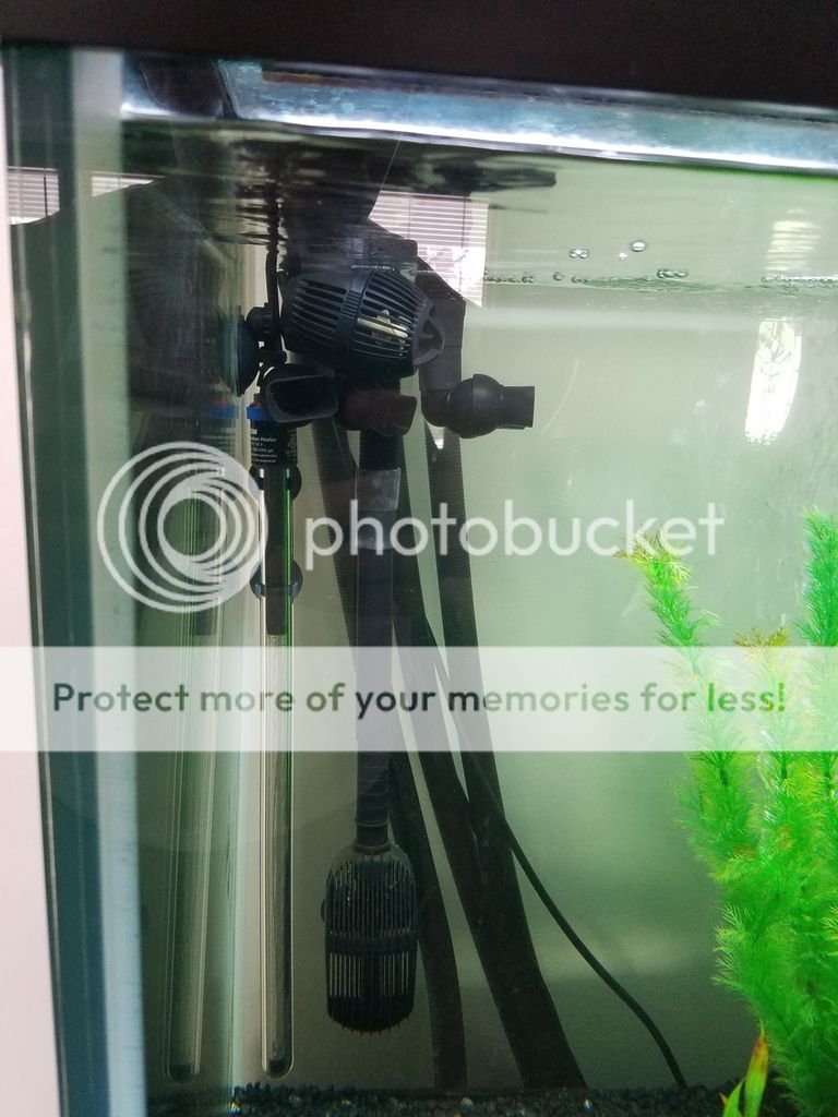 Best heater placement?