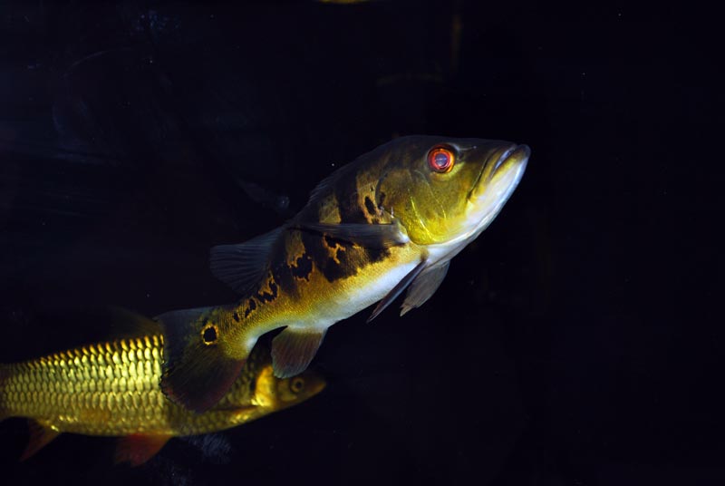 DSC_0028.jpg