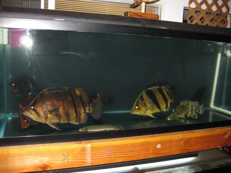 4-19-09017.jpg
