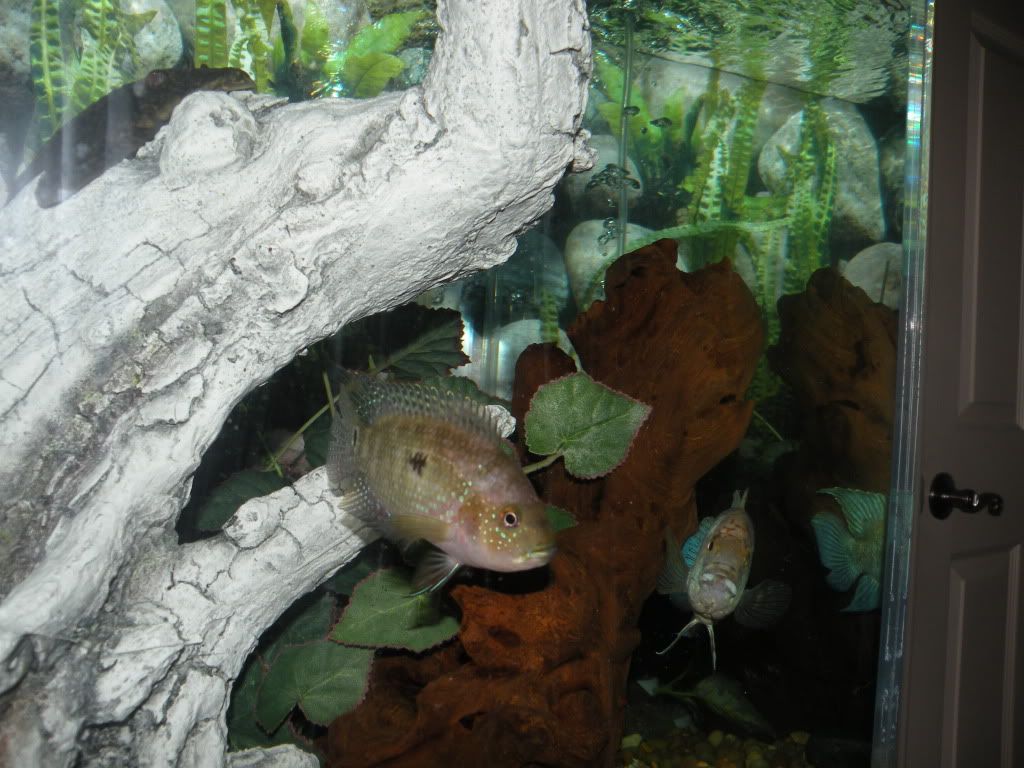 DSCN0836.jpg