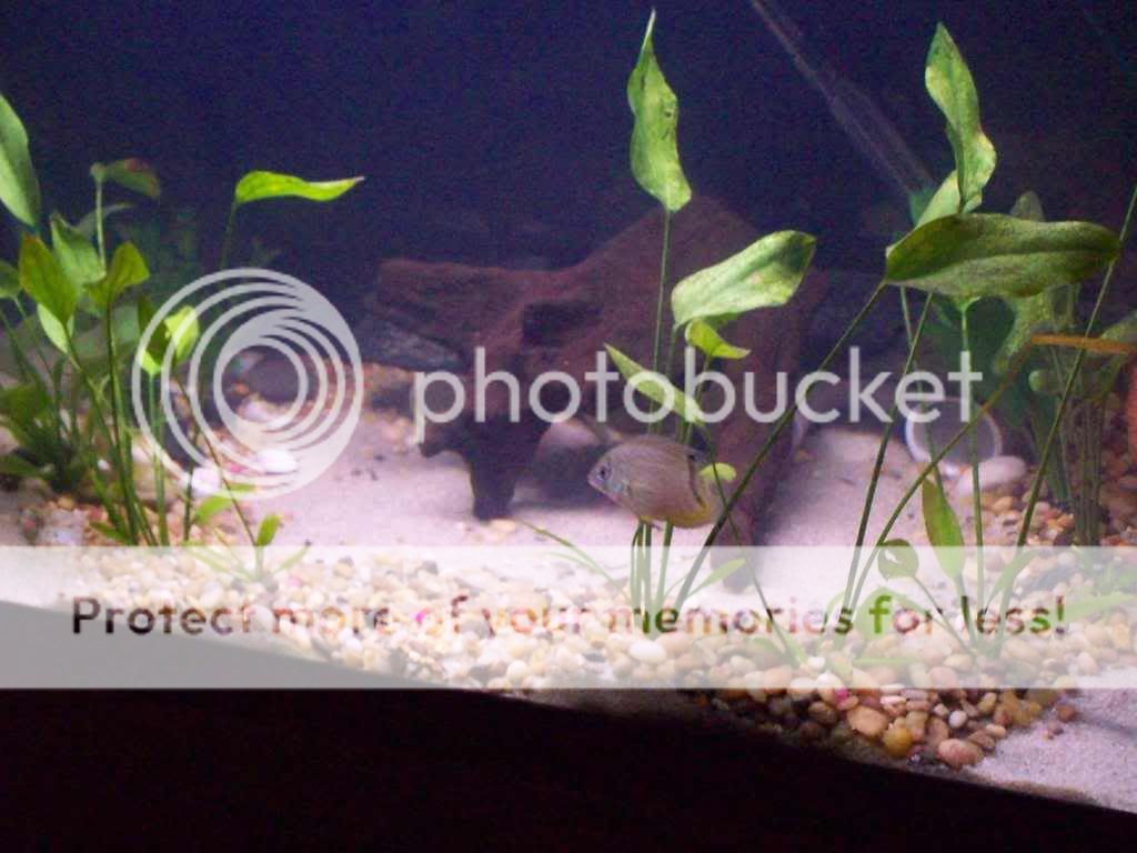 000_0054-2.jpg
