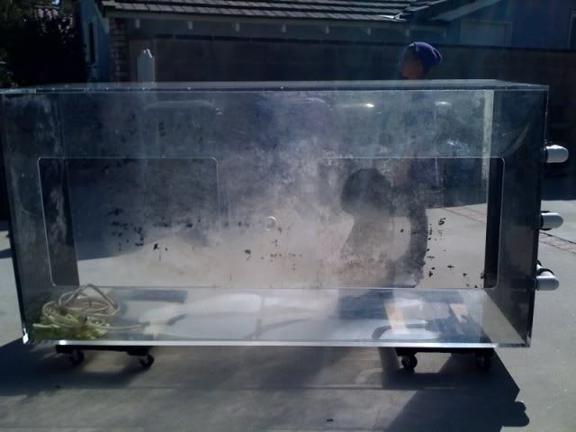 photo16.jpg