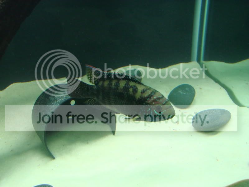 April202007006.jpg