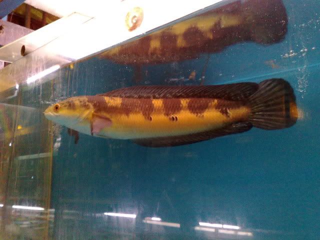 05122009012.jpg