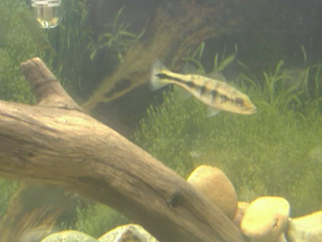 DSCF9327.jpg