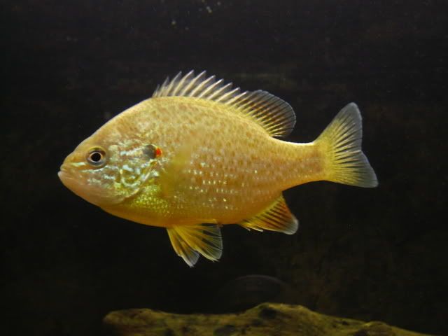 P1080298.jpg