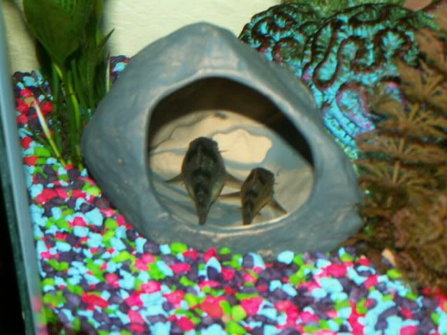 PICT0004.jpg