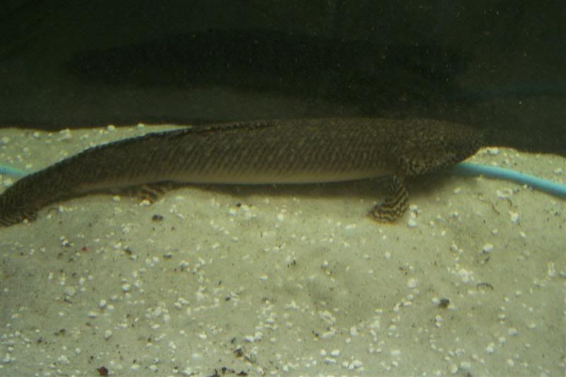 100_4681Medium.jpg