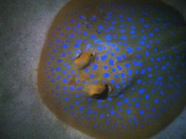 26-06-06_1832.jpg