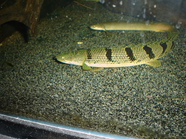 DSC08579.jpg