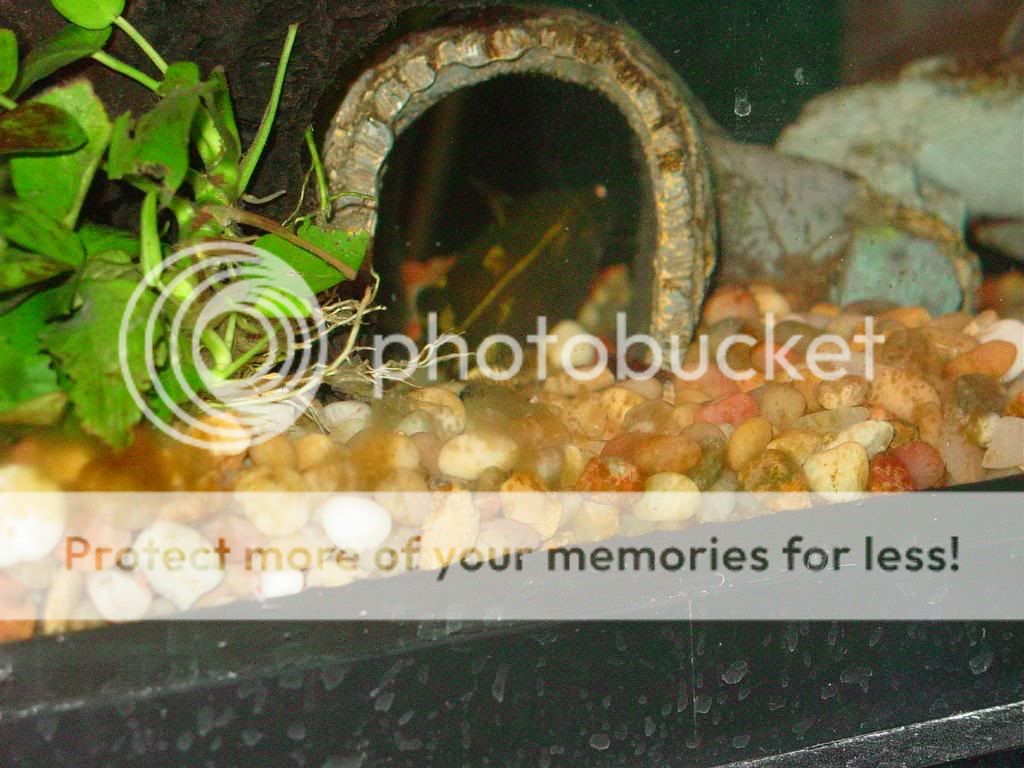 DSC05504.jpg