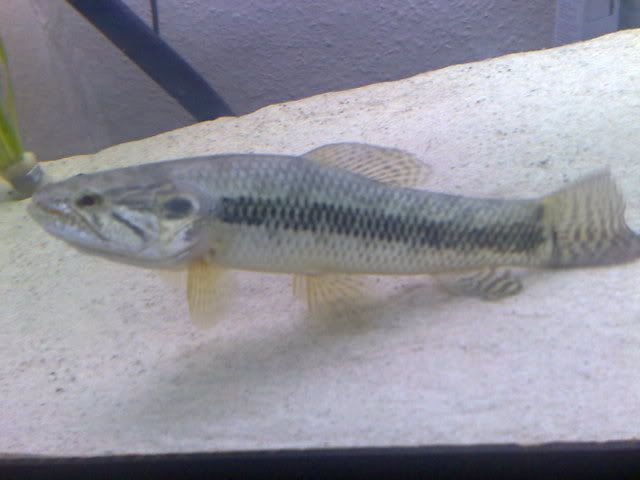 15092008530.jpg