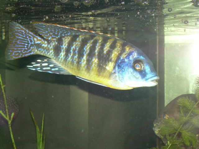 DSCN1078.jpg