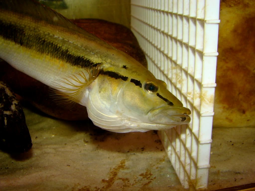 DSC07802.jpg