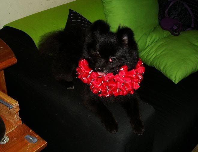 08-21-08034-ReganRuffles.jpg