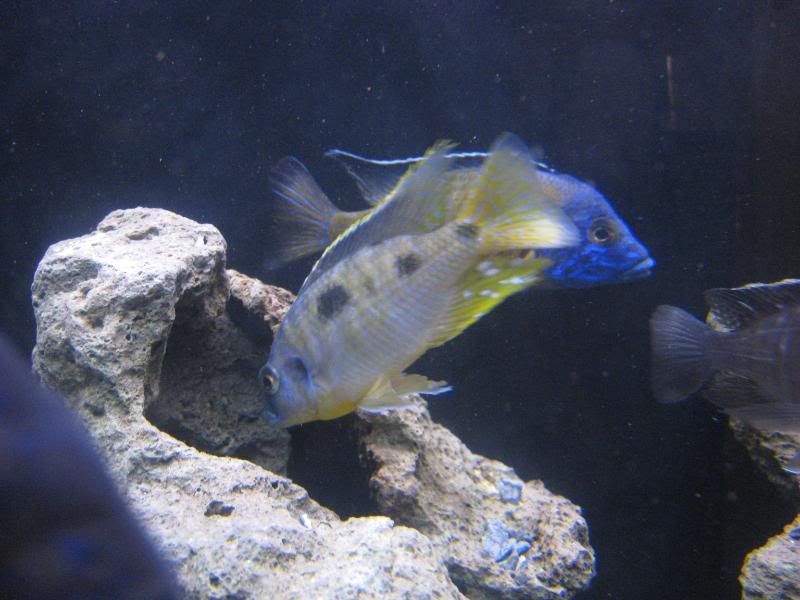 IMG_6226.jpg