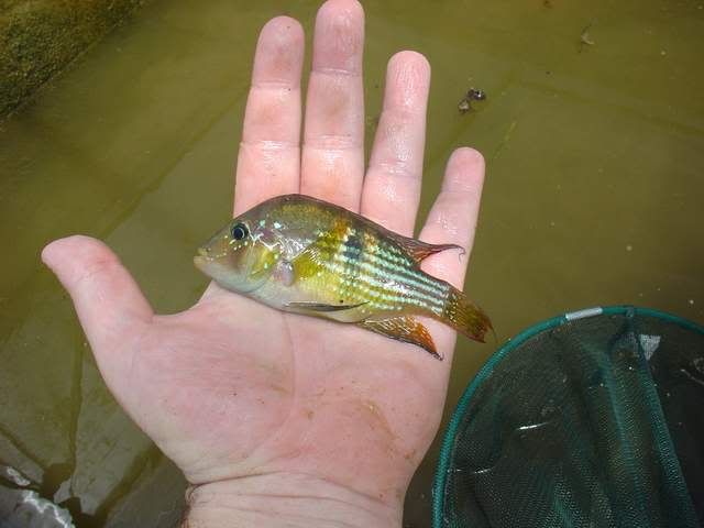DSC06971.jpg