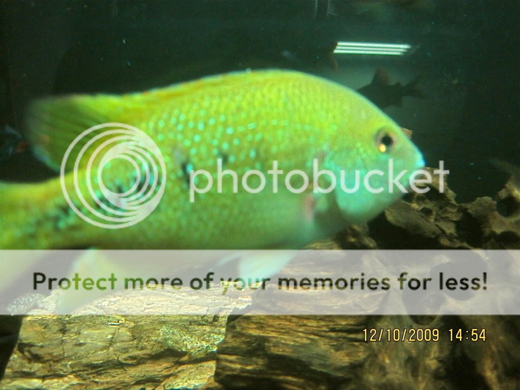 IMG_3040.jpg