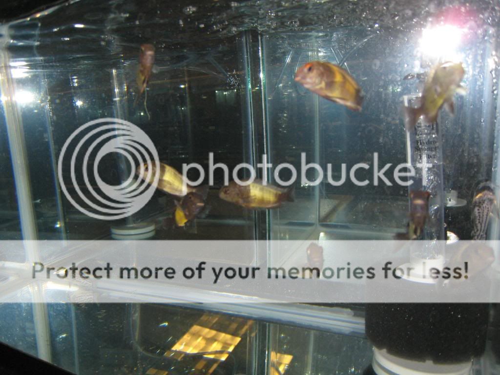IMG_9359.jpg