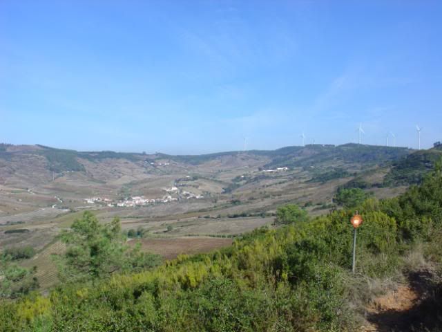 DSC08522.jpg