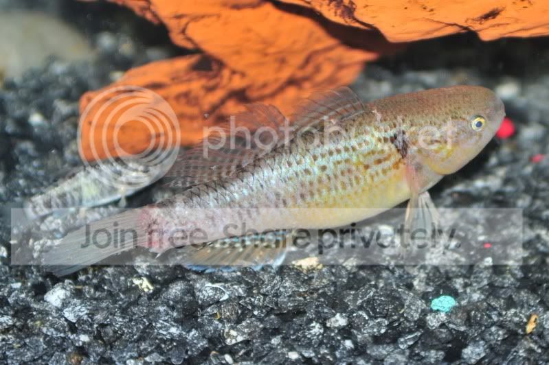 DSC_2876.jpg