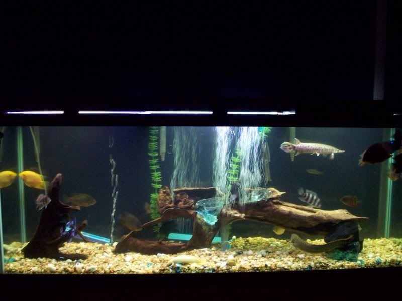 100_2988.jpg