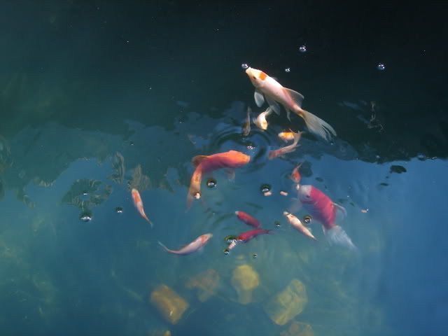 DSC05564.jpg