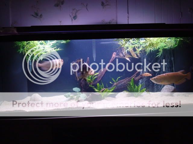DSC04610.jpg