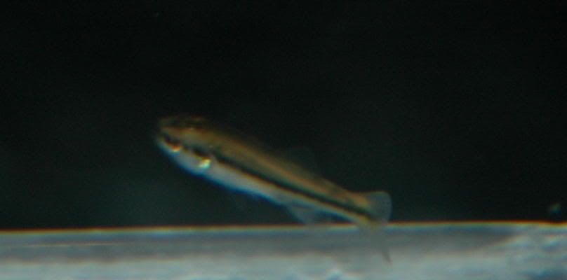 DSC_14102.jpg