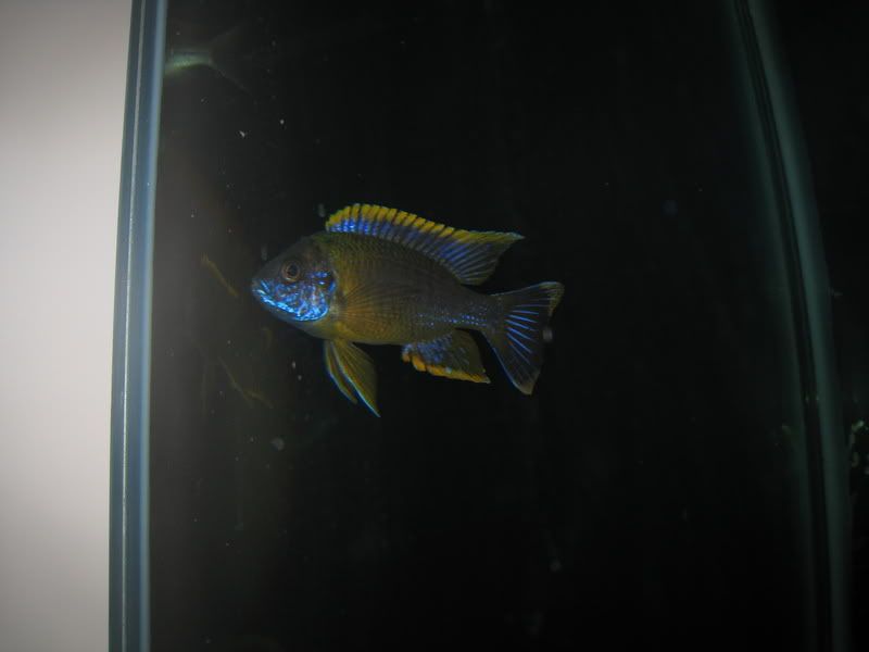 IMG_6683.jpg