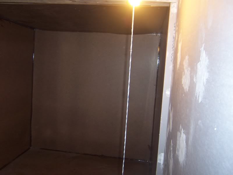 cage007.jpg