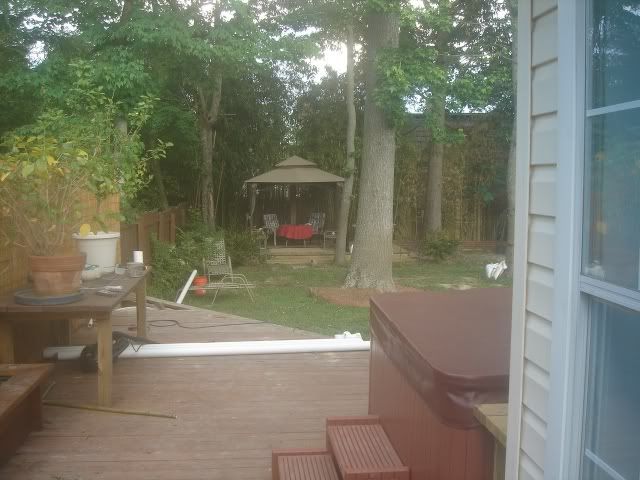 DSC09948.jpg