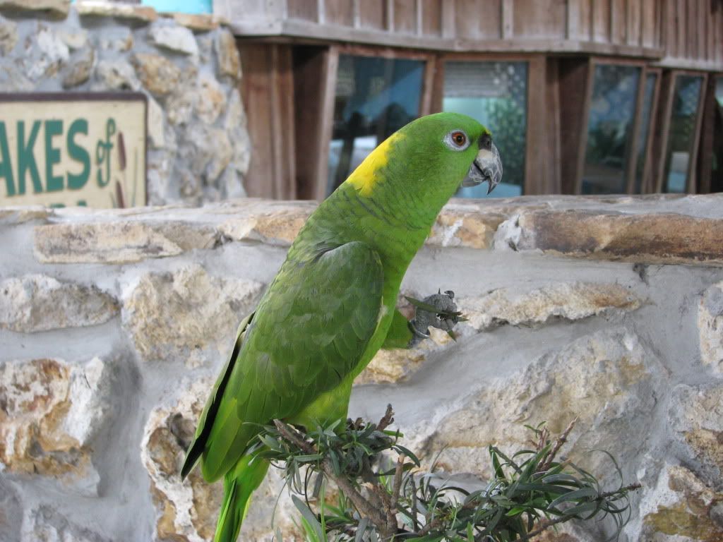 IMG_0828.jpg