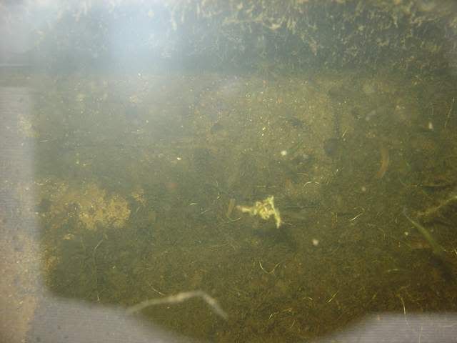 DSC05745.jpg